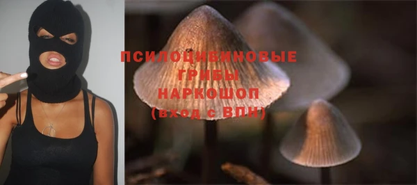 MESCALINE Аркадак