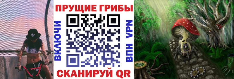 Галлюциногенные грибы GOLDEN TEACHER  ОМГ ОМГ зеркало  Сегежа 